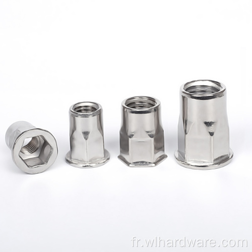 Noix rivetées A2 A4 HEX BLIVE RIVET NUTS